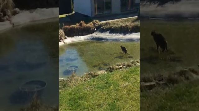 У вас тут рыбка ???