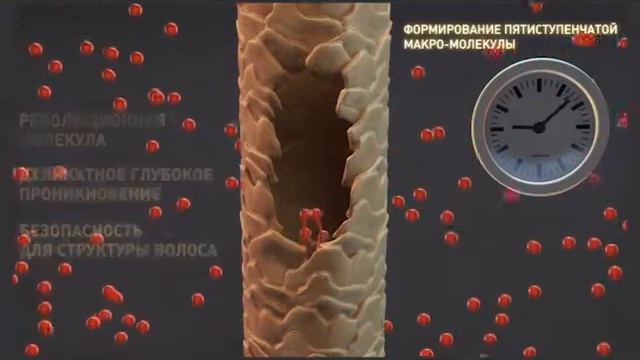 Разумный выбор от 04.04.2014 года. смотреть онлайн