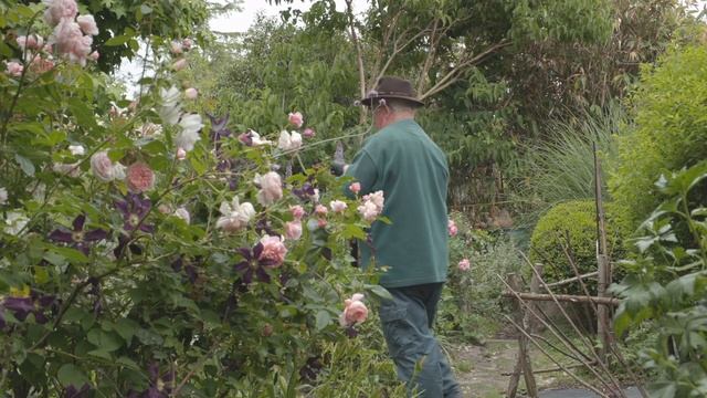 Jardins de Bretagne : le jardin d'Alain (Arrosoirs et Sécateurs) смотреть онлайн