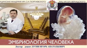 Лекция 2 -  Эмбриология человека - лектор доцент Лугин И.А.
