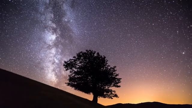 Tangerine Dream. Centre Of Now смотреть онлайн