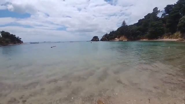 БОЛЬ РАЗЛУКИ - муз. и исполнение Жанны Вишняковой Арс смотреть онлайн