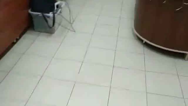 установка турникета в школу 2549885 смотреть онлайн