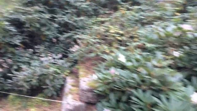 Icehouse - No Promises (Fan-Made Music Video) [Sapokka Park, Kotka, Finland] смотреть онлайн