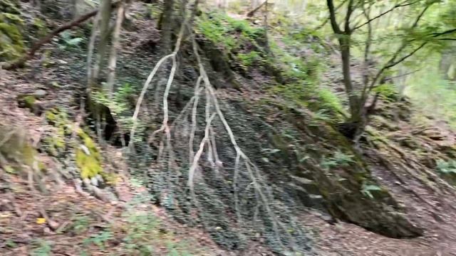 Стих: Путь Марии смотреть онлайн