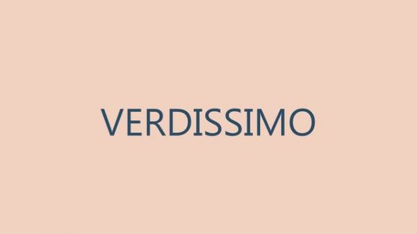 02 VERDISSIMO