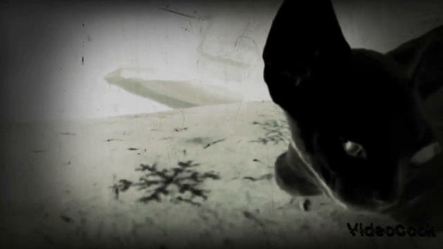 египетская сила на Ютюбе смотреть онлайн