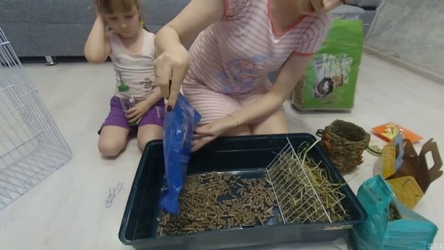 Наш новый друг. Морская свинка. Что нужно морской свинке смотреть онлайн