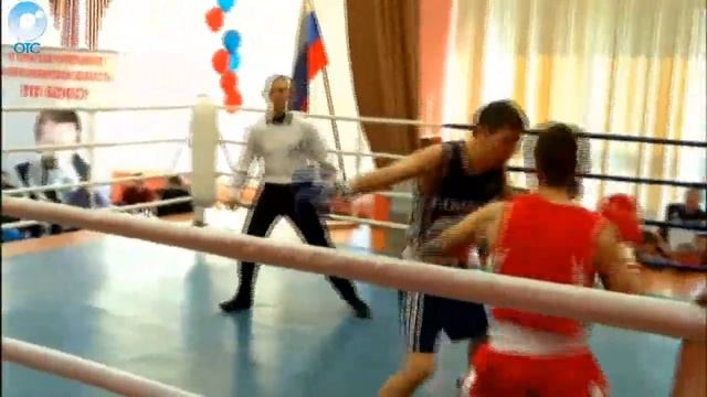 Открытый Чемпионат Новосибирской области по боксу собрал более ста участников смотреть онлайн