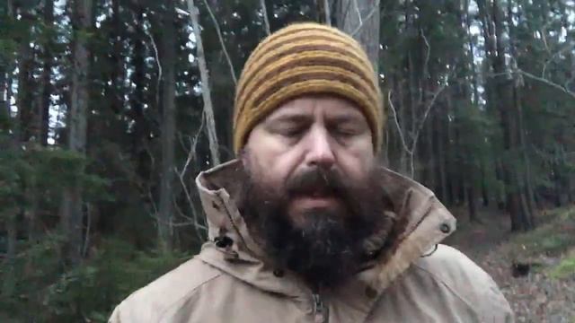 Ticks, Haters And Patreon