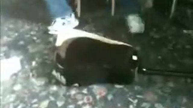 Джони разучивает песню ;) смотреть онлайн