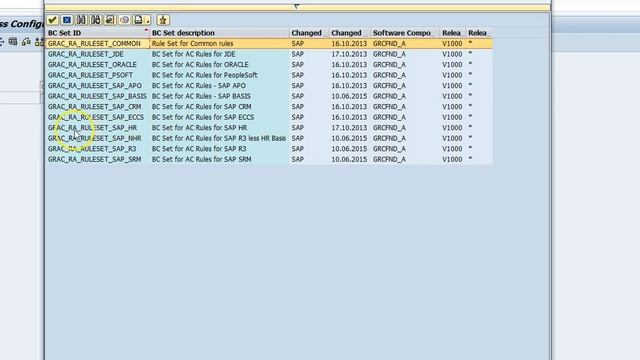 SAP GRC 10.1 -BC SET смотреть онлайн