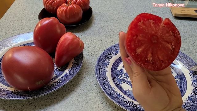 ОБЗОР И ДЕГУСТАЦИЯ ТОМАТА КРАСНАЯ НЕМЕЦКАЯ КЛУБНИКА. смотреть онлайн