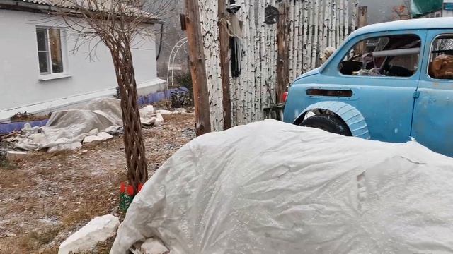 8 ноября УКРЫЛА РОЗЫ В САДУ ?❄️ЗИМОВКА РОЗ В СИБИРИ Воздушно сухое укрытие смотреть онлайн
