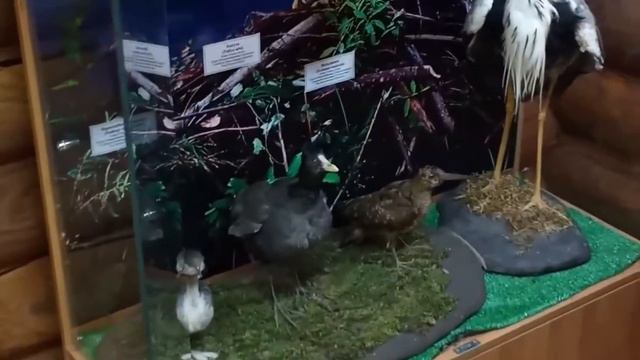 Без названия 1 смотреть онлайн