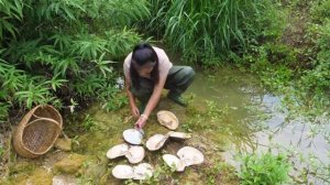 как собирается жемчуг.