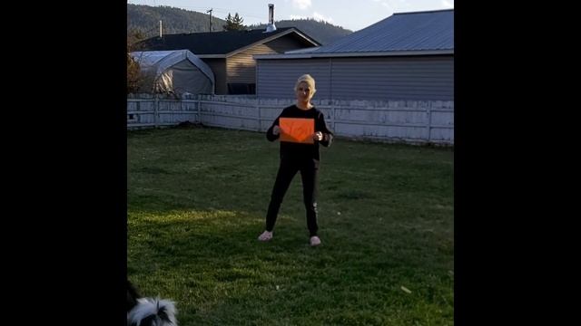 Greetings from Ellison Staff смотреть онлайн