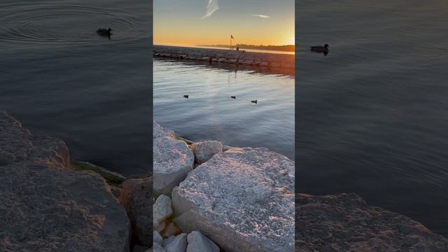 Pickering life #pickering #waterfront #beach #canada смотреть онлайн