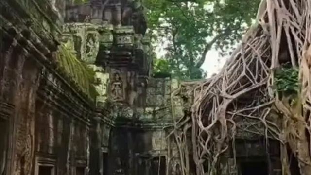 Анкор-Ват (Камбоджа)