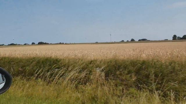 На прогулку к морю по капустному полю