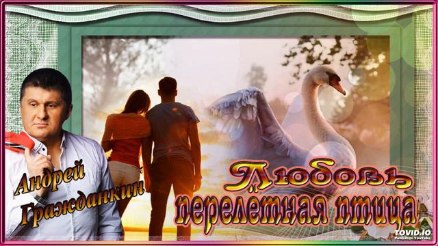 Андрей Гражданкин – Любовь Перелётная Птица