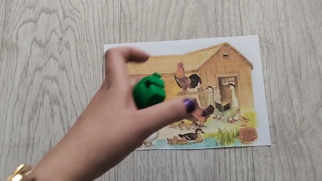 Играем с Маминой Азбукой: домашние птицы видео 4 смотреть онлайн