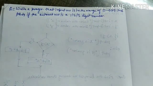 If else Questions in python смотреть онлайн
