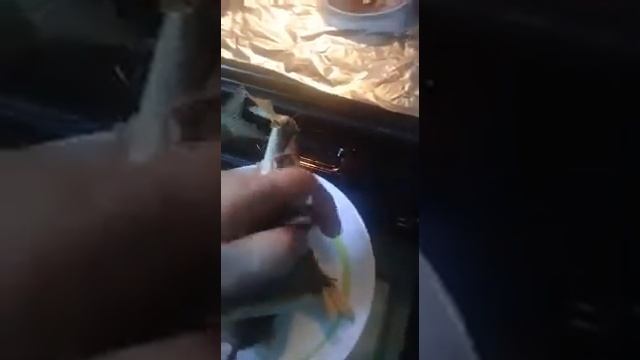 Отопление Опыт