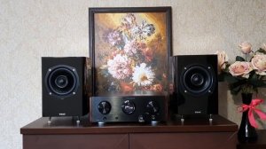 Интегральный усилитель Marantz HD-AMP1