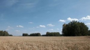 «Желаю тебе Земля моя « - исполняет Татьяна Славина. Режиссер М.А. Шершнев.
