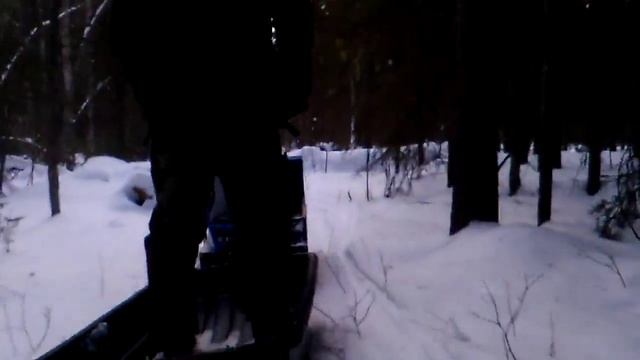 Мотобуксировщик БТС по лесу видео смотреть онлайн