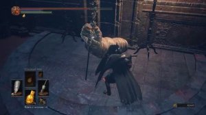 Dark Souls III Поднимаем стены, ищем Лоскутика - находим Сигварда и Розарию
