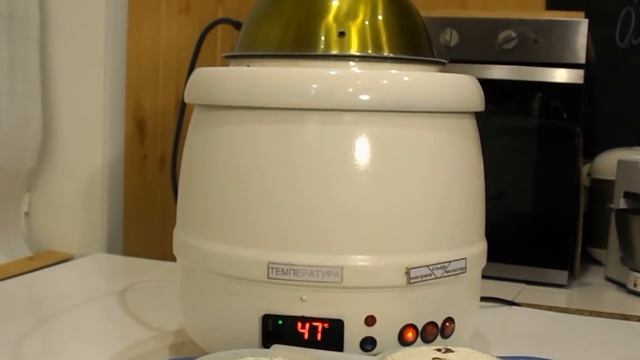 Адыгейский сыр / Настоящий Адыгейский сыр на сыворотке / Домашний сыр смотреть онлайн