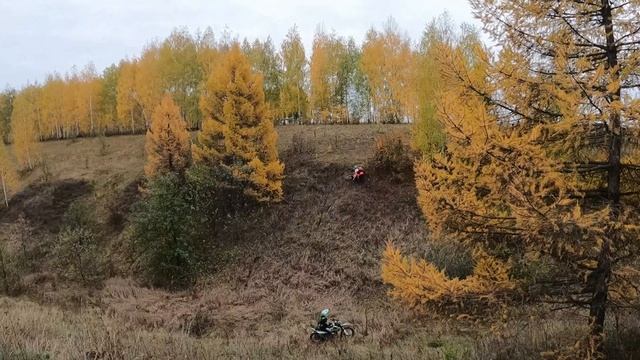 Деревня эндуро AVANTIS FX 250 LUX Regulmoto ZR 250 и Racer Panther. Подъем "Медведя"(Эпизод. 33). смотреть онлайн