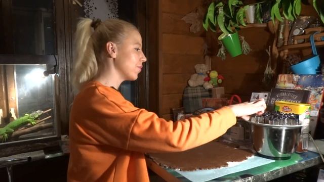 14 Печенюшки смотреть онлайн