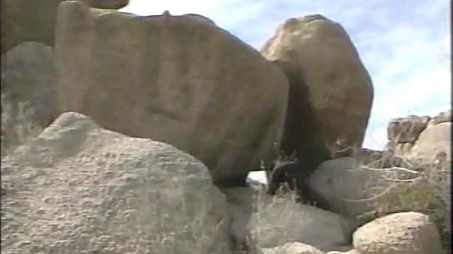 LGTV~1990~The Victory Garden~02x05~Desert Landscaping смотреть онлайн
