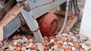 Самодельная дробилка - размеры, принцип работы.