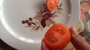 Томат Непас 10  Дегустация