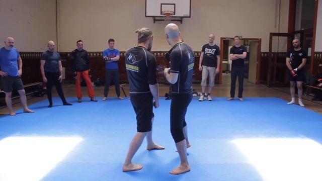 Panantukan: Inward Forearm Entry & Follow-Ups смотреть онлайн