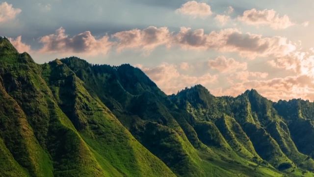 Мерзавцы уже спускали штаны перед девушкой, но СВОРА собак сорвала их гнусный замысел! смотреть онлайн