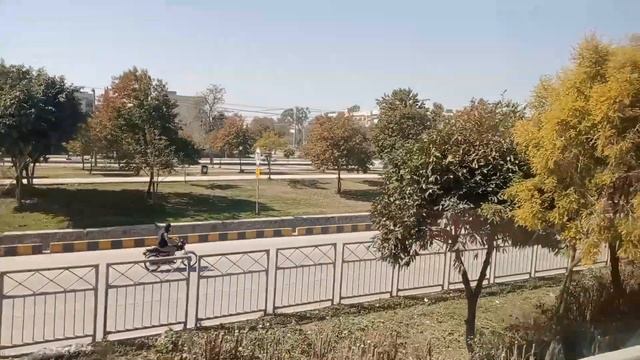 Faisal Movers | The best transport system смотреть онлайн
