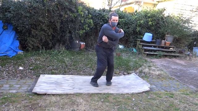 Pa kua with Wilson Pitts meets Capoeira- 2 Matthew Thornton смотреть онлайн
