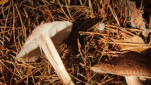 Чисто и уютно