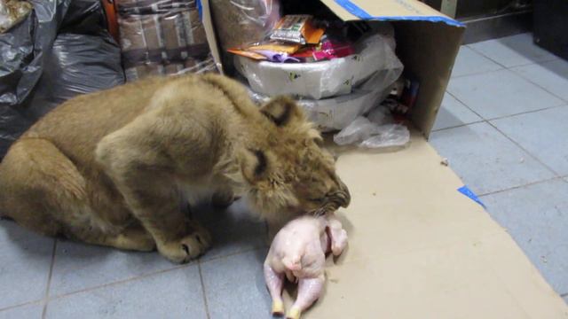 Симона смотреть онлайн