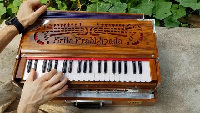 Temple harmonium - English reeds - 3 lines for sale смотреть онлайн