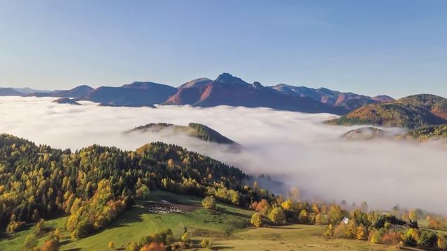 El Sonido De La Flauta Tibetana y El Milagro De La Curación | Elimina El Estrés y Calma La Mente смотреть онлайн