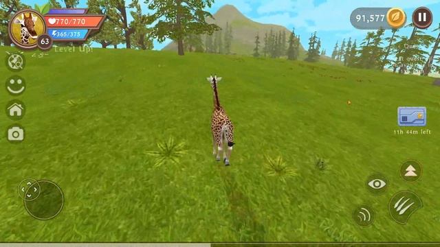 Wildcraft Transformations - Giraffe - Game play. смотреть онлайн