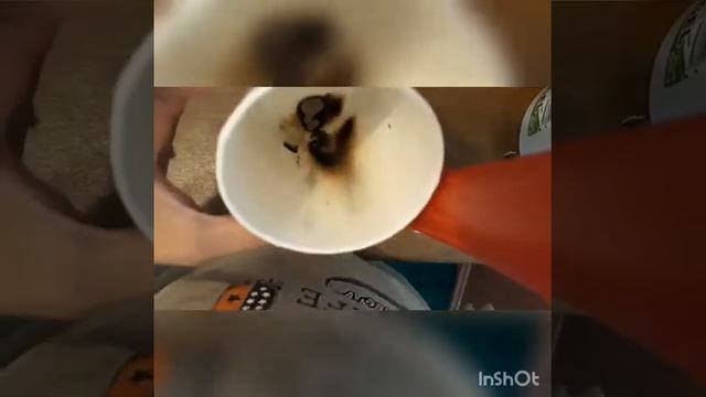 Спалил Накладные НОГТИ. КРАШ-ТЕСТ смотреть онлайн
