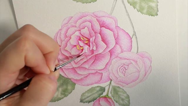 How to Paint a Watercolor Camellia Flower | Speed Painting смотреть онлайн