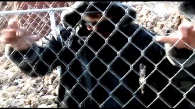 DOOMZDAY- (HARD ROAD) смотреть онлайн